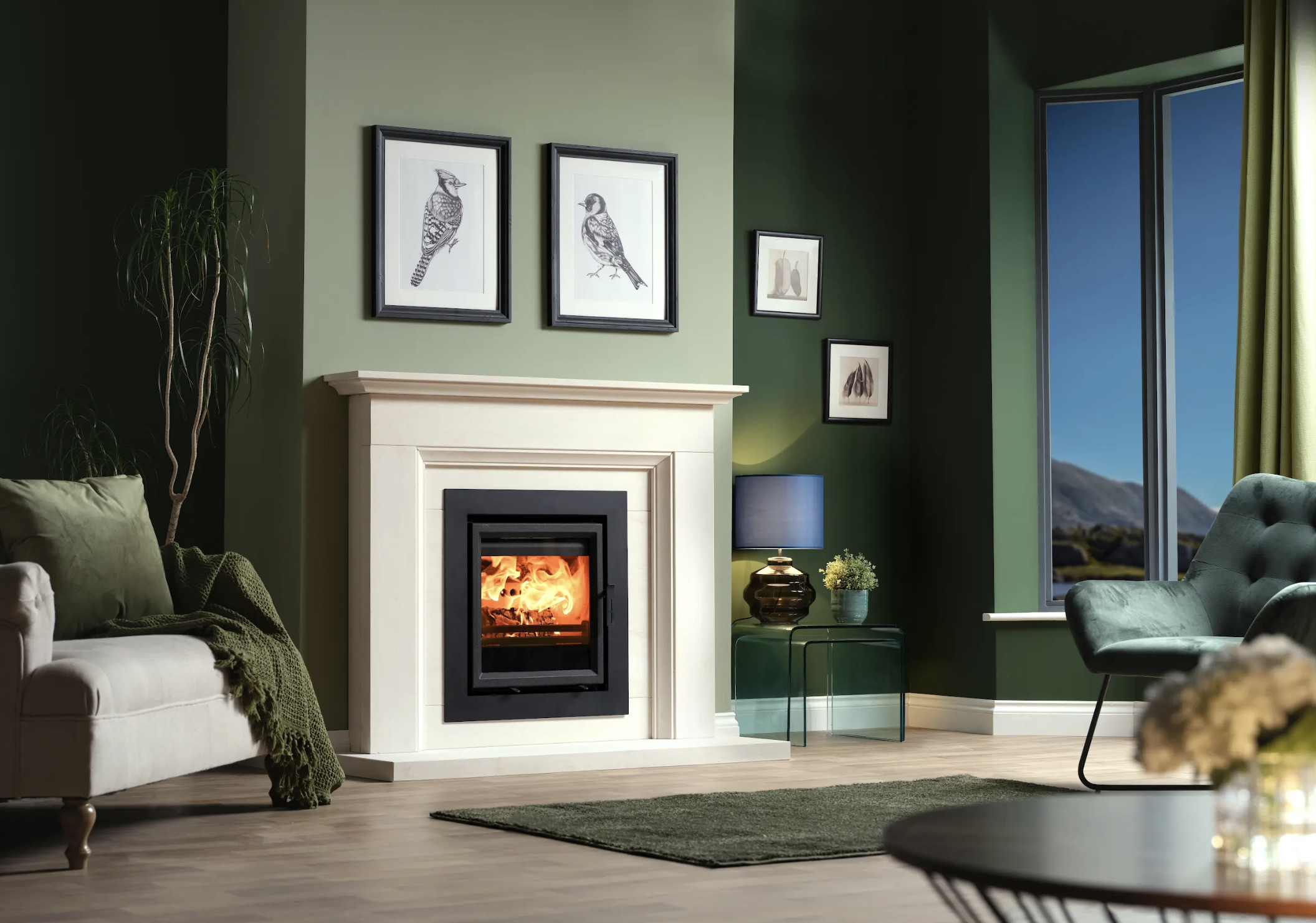 Eco Star 5kW Multi Fuel Inset Stove